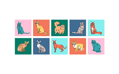 Cat breeds color concepts. breed breeds cat cats colorful concept design illustration vector