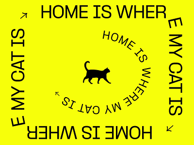 Home is where my cat is - Text Animation after effect animation cat kinetic kinetic typography motion motion design motion graphics type typography