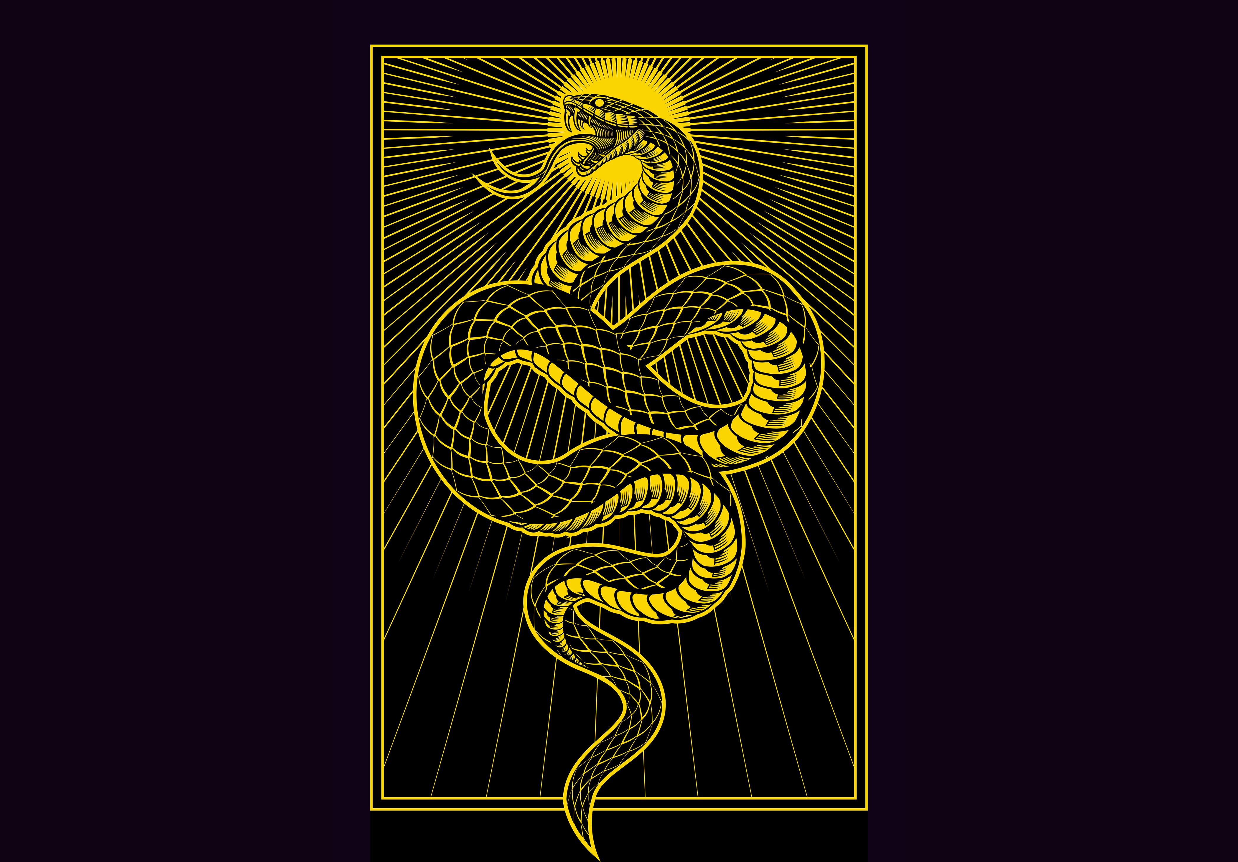 Snake T-shirt illustration adobe illustrator apparel branding graphic design illustration illustrations logo logo design merchandise one color poster art scales serpent slither snake street wear t shirt vector vector art vector illustration
