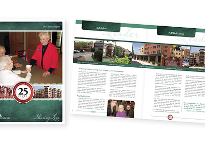 Annual Report for Catholic Eldercare annual report design graphic design