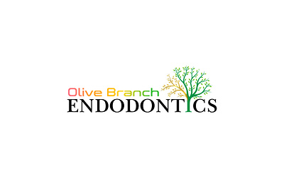 Olive Branch Endodontics Logo branch design dental art dental care dental specialist dental wellness dentistry endodontics green logo leaf emblem logo logodesign logodesigner medical logo modern dentist olive branch olive symbol root canal tooth health tooth icon