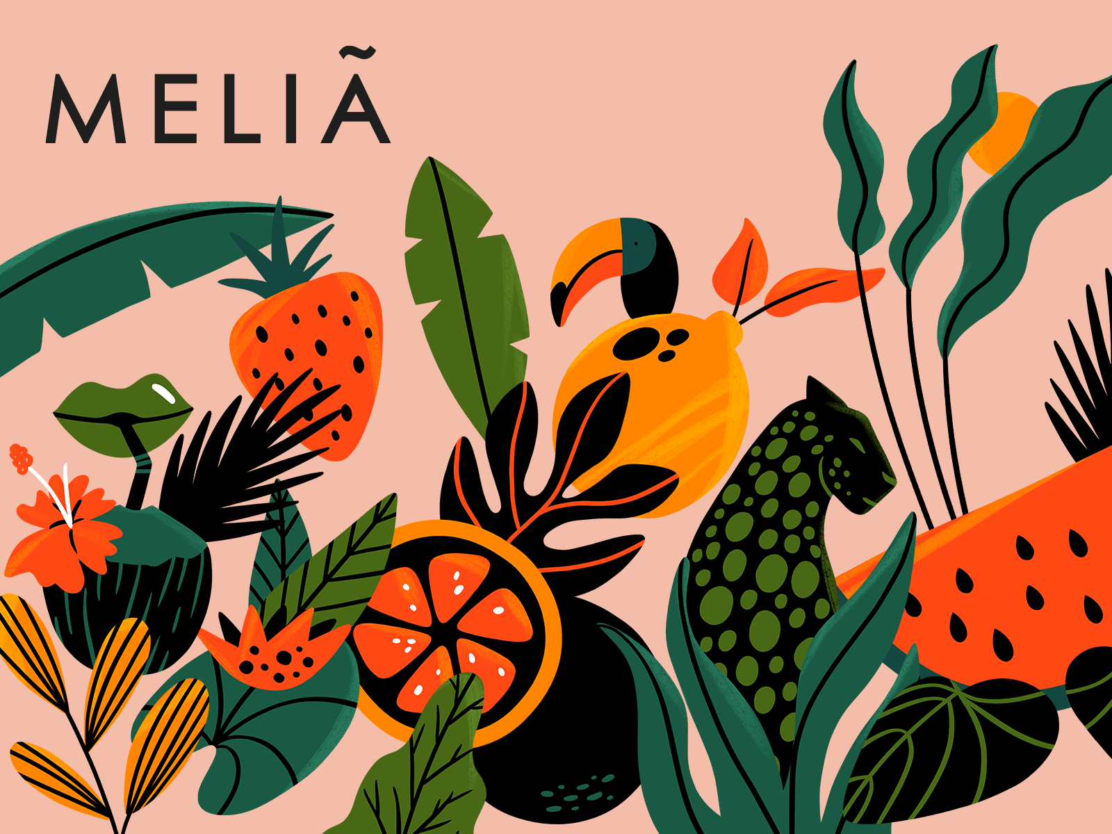 Example of Brand Illustration