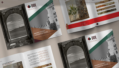 Catálogo Promocional DDL catalogo design editorial graphic design illustration vector
