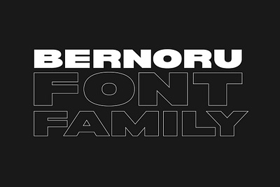 Bernoru Sans Font Family app branding design graphic design illustration logo typography ui ux vector