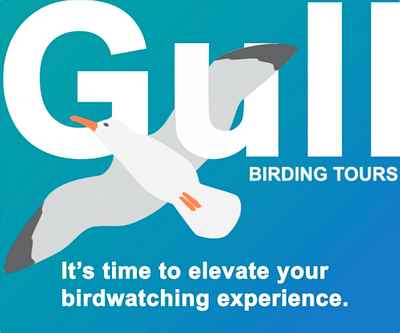 Birding tour advertisement