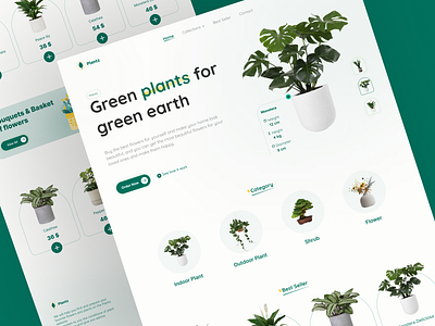 Plant Shop Website app daily ui dashboard design flower flower shop website design flower website graphic design home page home page design illustration plant plant shop plant shop home page design plant shop website plant website ui ux vector website design