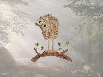 Funny owl — Machine embroidery design animal embroidery embroidery design embroidery digitizer embroidery digitizing embroidery digitizing company