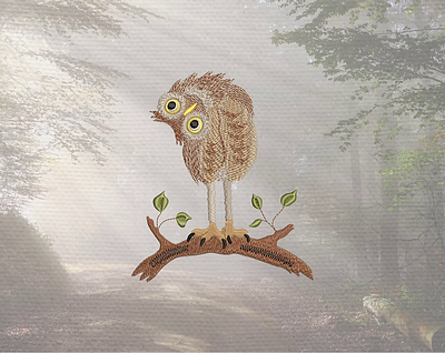 Funny owl — Machine embroidery design animal embroidery embroidery design embroidery digitizer embroidery digitizing embroidery digitizing company