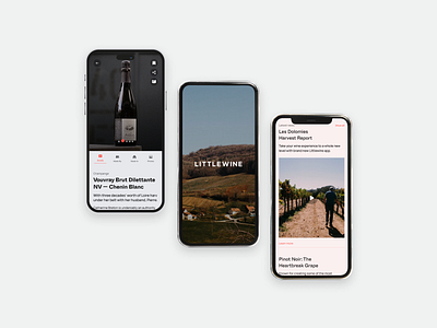 App for wine makers and wine enthusiast app mobile mobile app product design startup ui ux wine