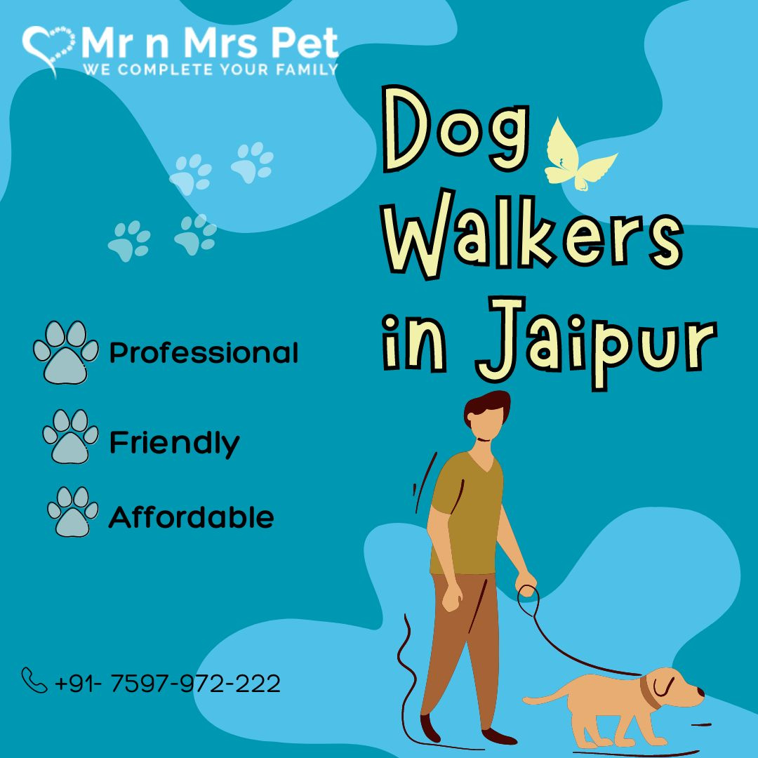 Dog Walkers in Jaipur by mrnmrs on Dribbble