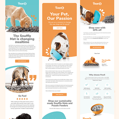 Paw 5 Newsletter Design branding email email design email marketing graphic design illustration