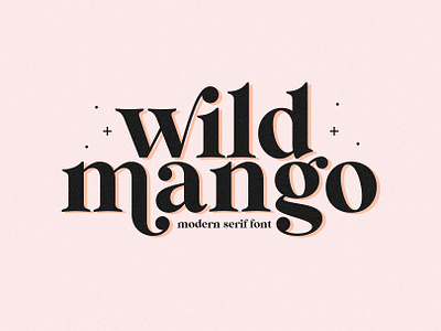 Wild Mango | Modern Serif Font