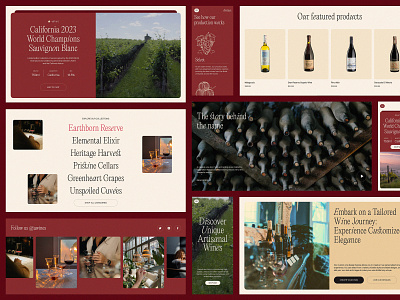 Case Study: Winery Ecommerce Website branding design ecommerce graphic design home page illustration interaction design interface marketing ui user experience user interface ux web web design web marketing website wine winemaker winery