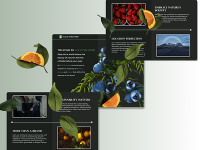 Cold Orchard Web Site Desing: Landing Page branding design desing landing page site ty typography ui uidesing ux web page website