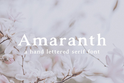 Amaranth | Hand Lettered Serif Font app branding design graphic design illustration logo typography ui ux vector