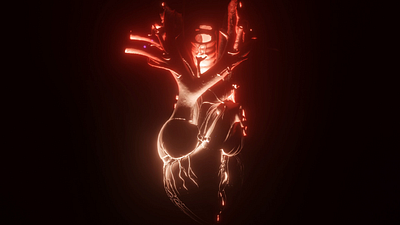Heart Beat 3d animation biology graphic design illustration medical medicine science scientific illustration