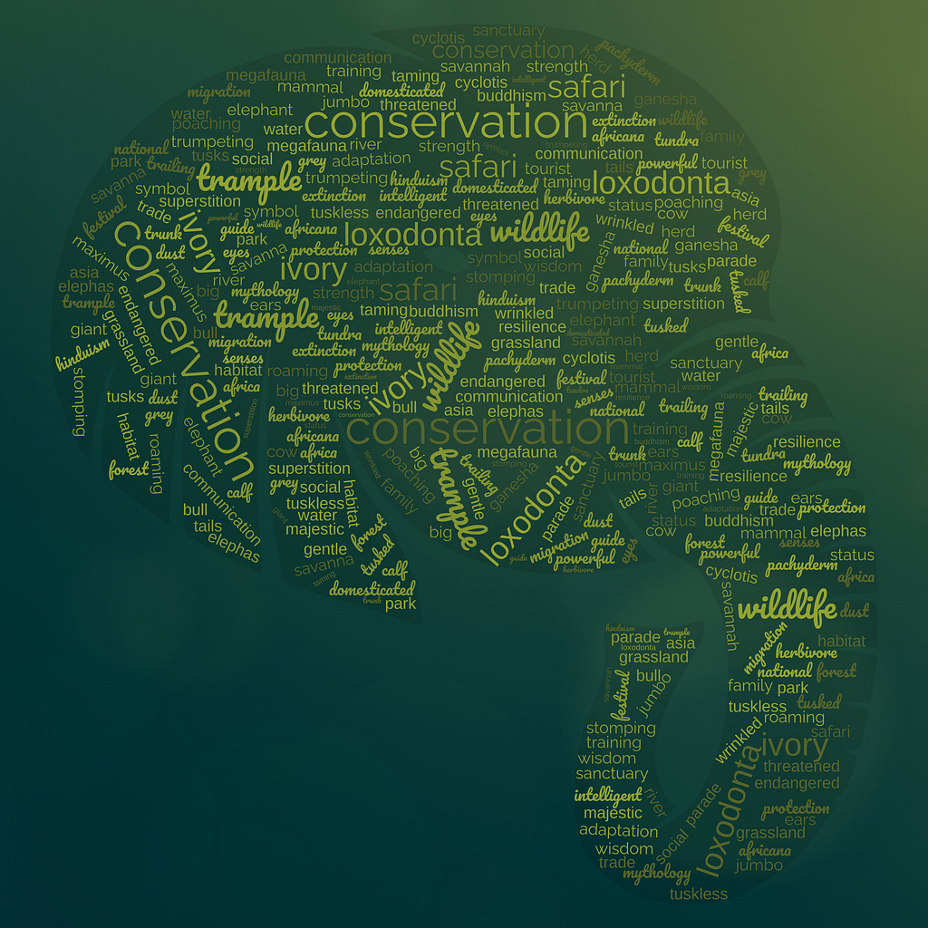 elephant by essafia echant on Dribbble