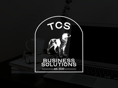 TCS Final Logo blue branding design graphic design illustration logo professional