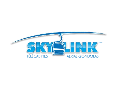 Aerial Gondolas logo branding design graphic design illustration logo typography vector