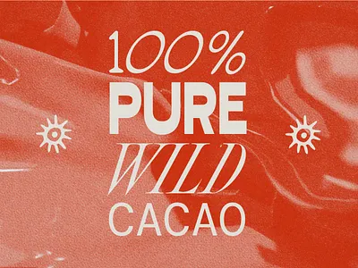 Bruno's [WIP] branding design graphic design illustration typography vector