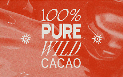 Bruno's [WIP] branding design graphic design illustration typography vector