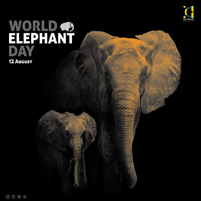World Elephant Day digital marketing elephant elephant day images graphic design social media post world elephant day