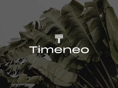 Timeneo brand branding design graphic design icon illustration logo logotype typography vector