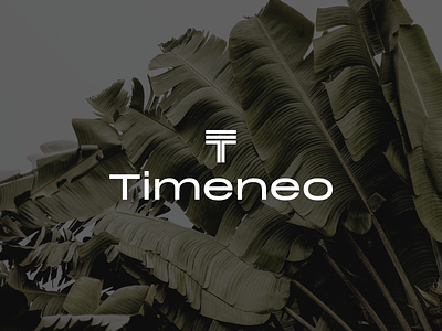 Timeneo brand branding design graphic design icon illustration logo logotype typography vector