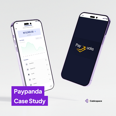 Paypanda- Case study app branding design graphic design illustration ui ux