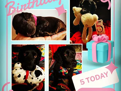 I will do klaviyo, mailchimp and newsletter template design uidesign