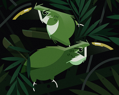 Southern Emerald Toucanets (2023) bird birds design floral illustration minimal illustration nature vector wildlife