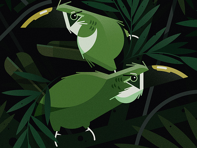 Southern Emerald Toucanets (2023) bird birds design floral illustration minimal illustration nature vector wildlife