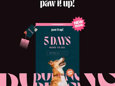 I will do klaviyo, mailchimp and newsletter template design banner design branding design email template figma design graphic design illustration landing page design logo ui uidesign