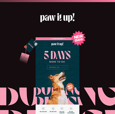 I will do klaviyo, mailchimp and newsletter template design banner design branding design email template figma design graphic design illustration landing page design logo ui uidesign