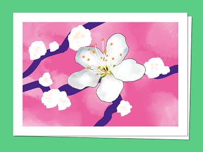Plum tree blossom postcard design branding design drawing graphic design illustration