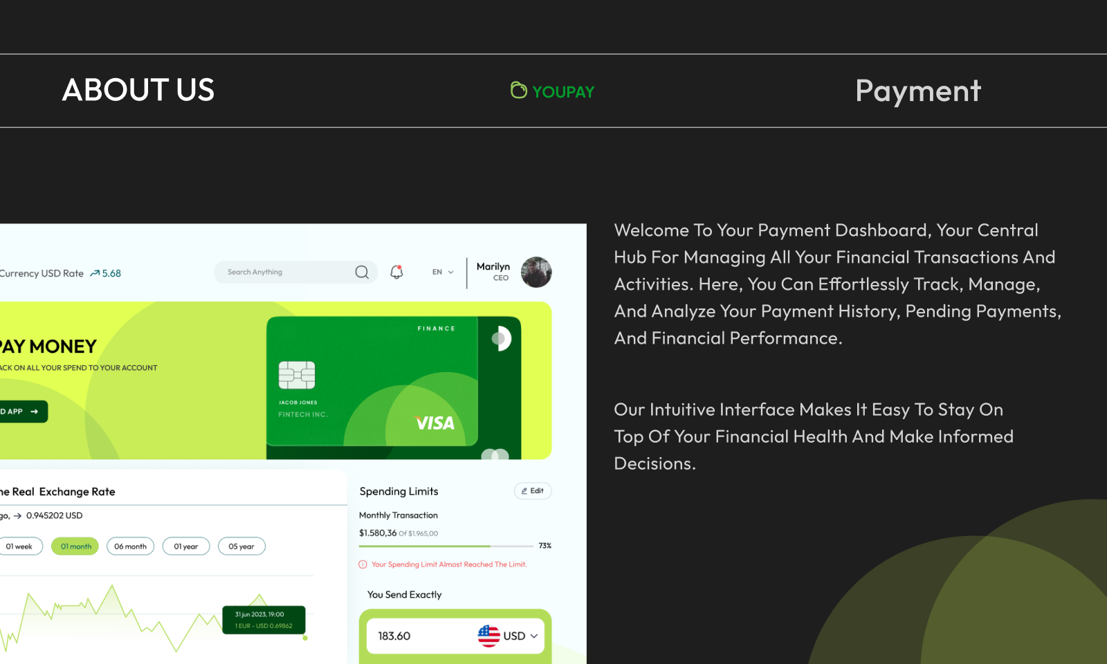 Online Payment Dashboard UI Design by Habibur Rahman | UI/UX & Brand ...