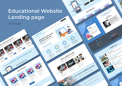 Website for Studypress app design illustration ui ux