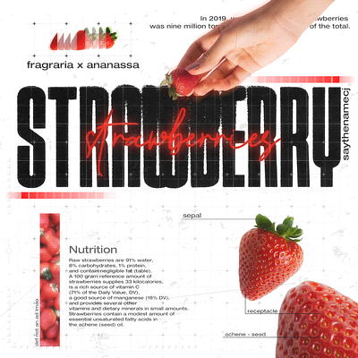 strawberry graphic design