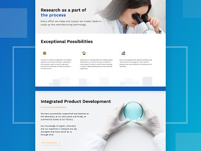 Website design for a chemical manufacturer in India chemicals design icons research ui web web design website
