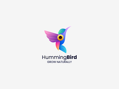 humming bird 3d app bird branding colibri colorful design graphic design humming bird icon illustration logo