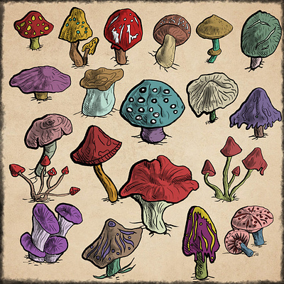 Magic Mushrooms art colllection creative custom design illustration magic mushrooms plant plants