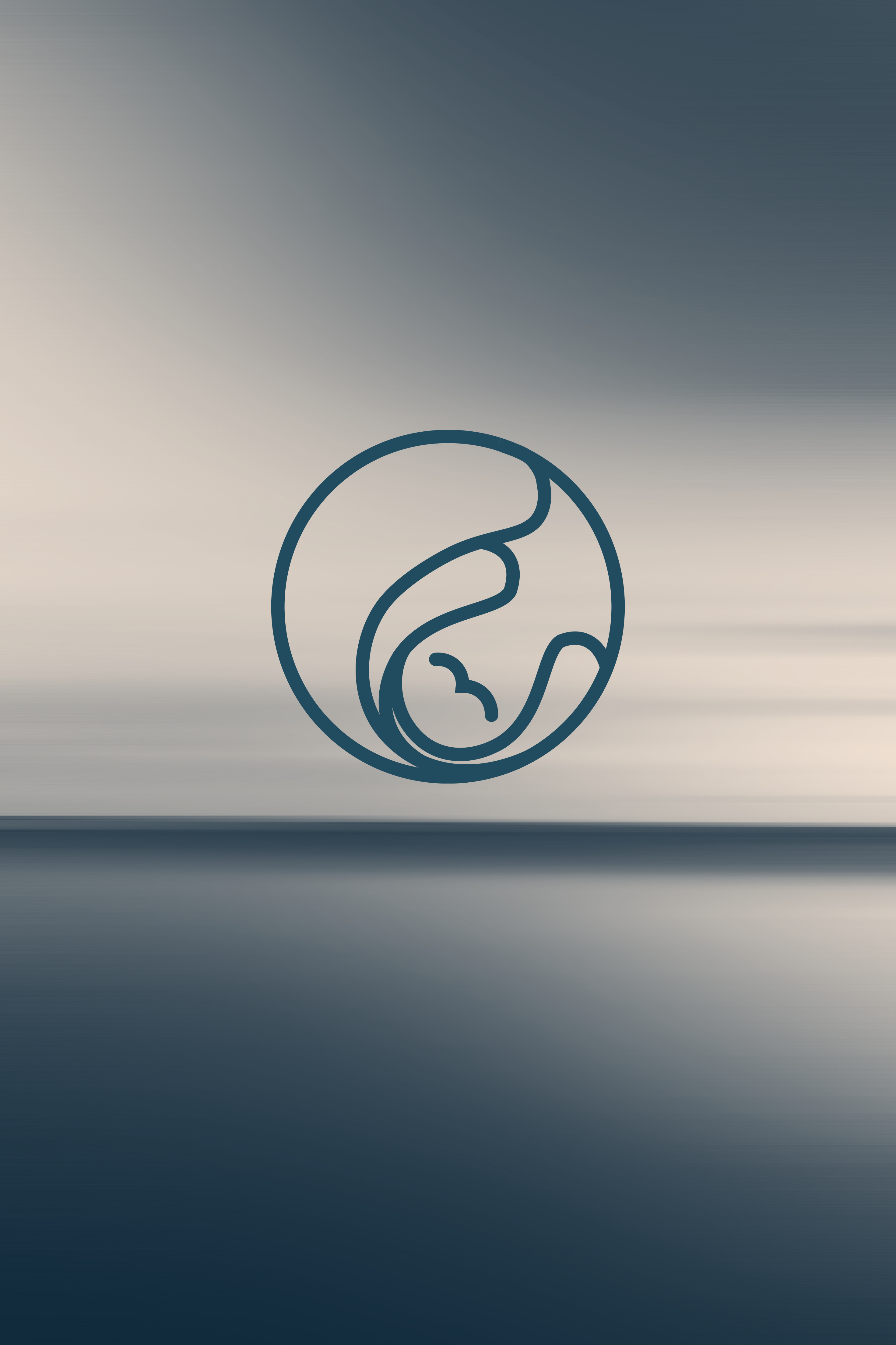 Pacific Calm branding design golden ratio graphic design logo minimal vector