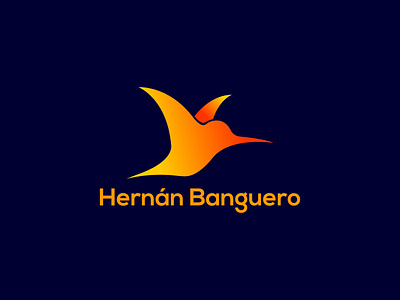 Hernan Banguero app branding design graphic design icon illustration logo minimal ui vector