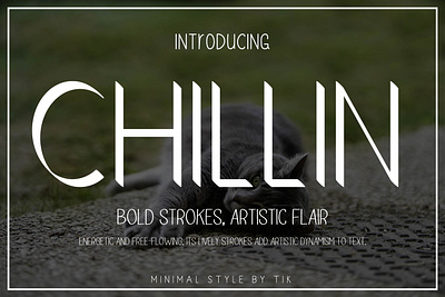 Chillin app branding design graphic design illustration logo typography ui ux vector