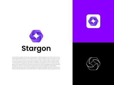 Stargon modern 3d logo design| Polygon| Star mark 3d logo business logo creative custom logo design hexagon logo logo creator logo design logo designer logo folio logo idea logo maker logo mark modern logo polygon star logo stargon unique logo vector