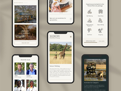 Mankwe - Safari Website design illustration interface mobile prototype ui ux ux ui design web website wireframe