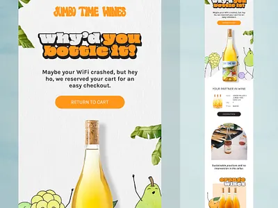 I will do klaviyo, mailchimp and newsletter template design uidesign