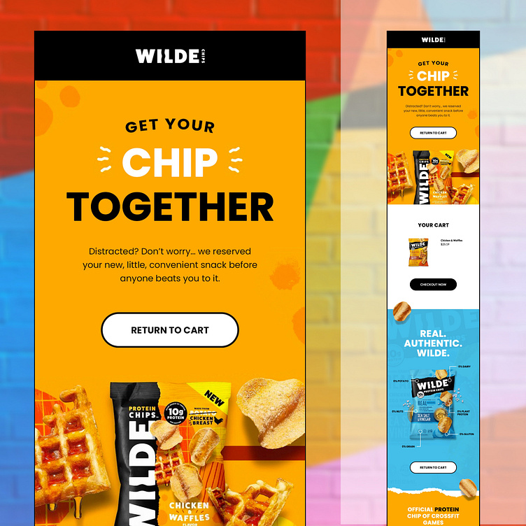 i-will-do-klaviyo-mailchimp-and-newsletter-template-design-by-md-ripon