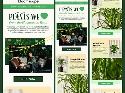 I will do klaviyo, mailchimp and newsletter template design uidesign