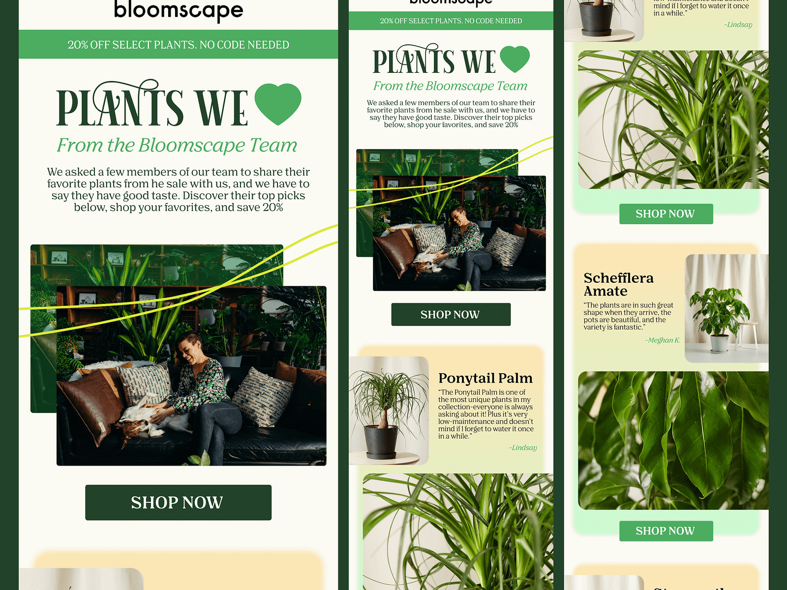 I Will Do Klaviyo Mailchimp And Newsletter Template Design By Md Ripon I Will Do Klaviyo Mailchimp And Newsletter Template Design By Md Ripon